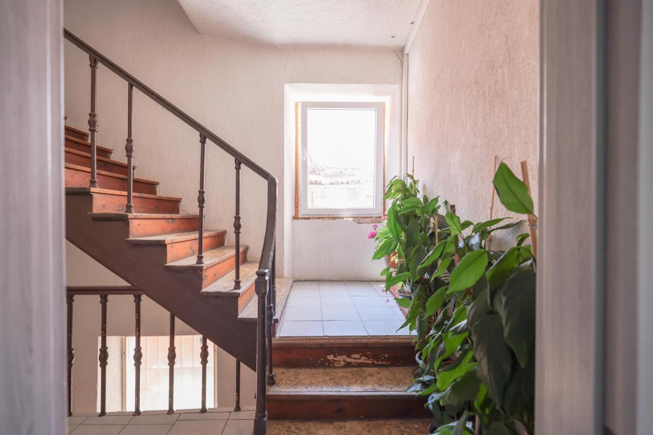 Apartament Cozy Cvita Zadar